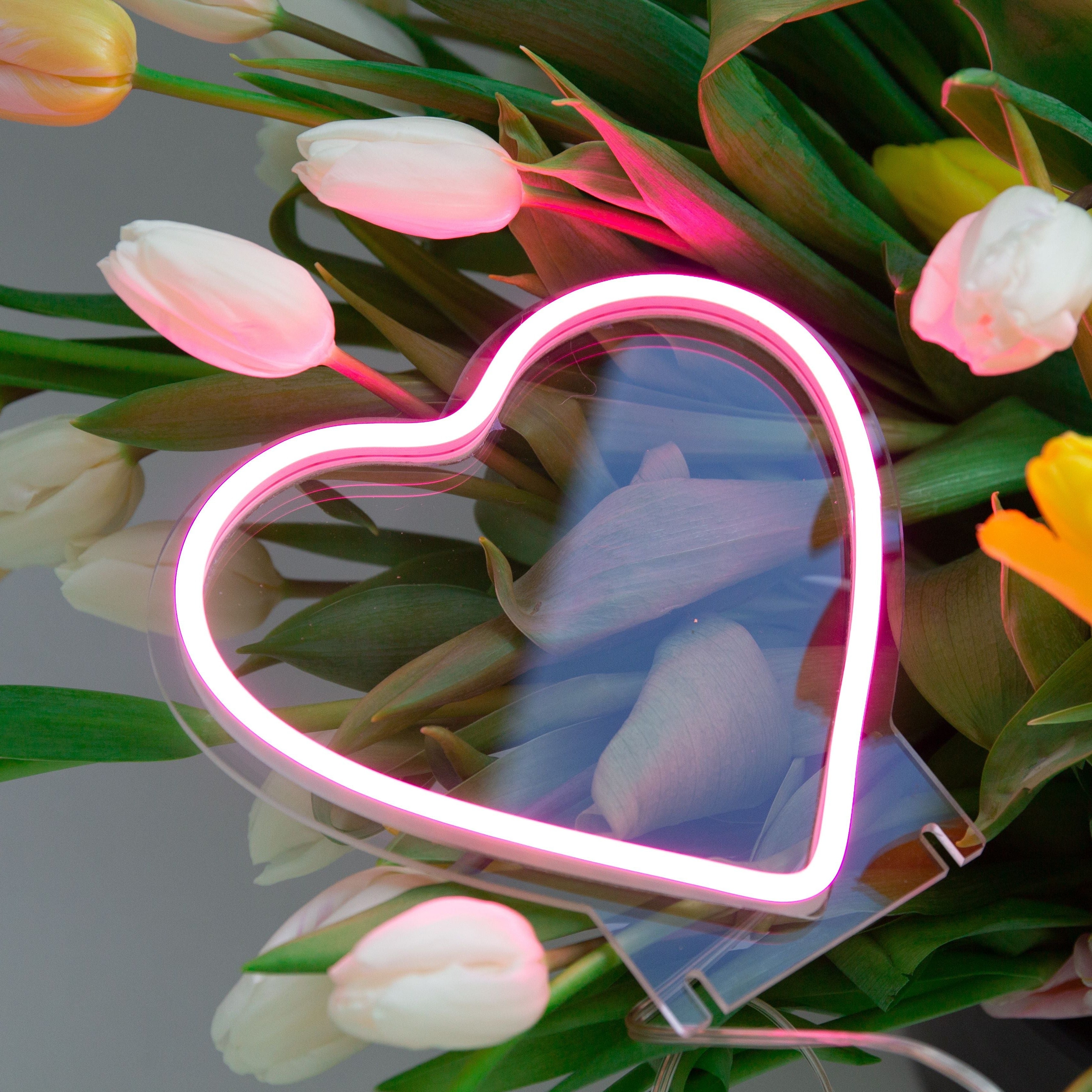 Heart LED Mini Neon Sign