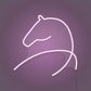 Minimalist Horse Head Neon Light