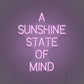 A Sunshine State of Mind LED Neon Sign