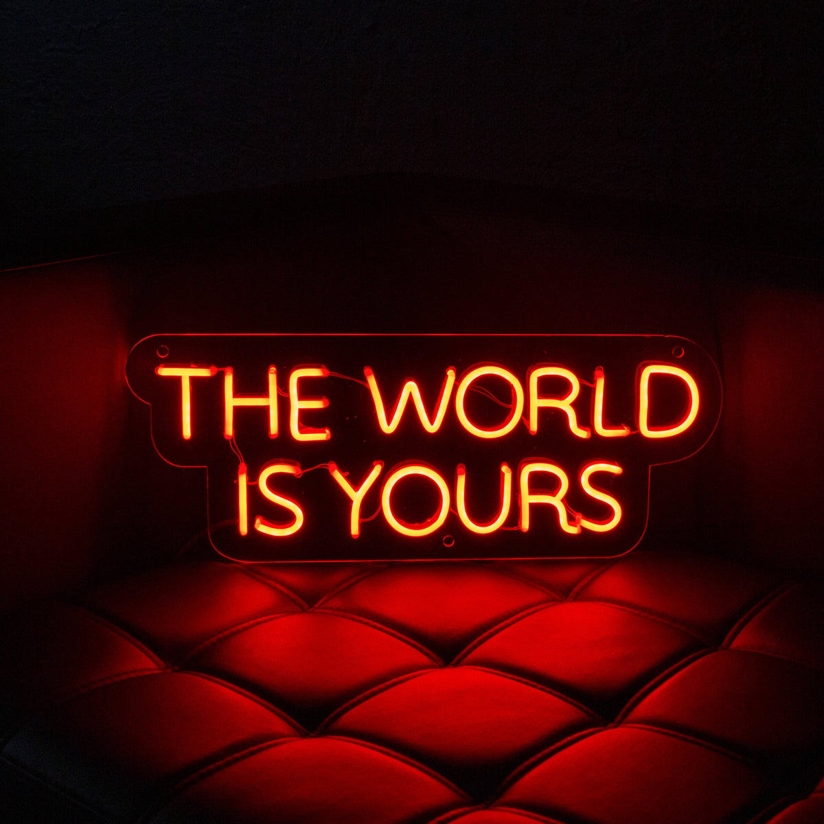 The World Is Yours LED Neon Sign